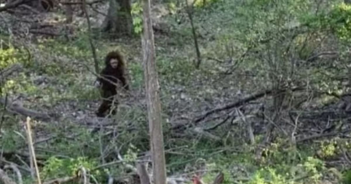 "Детеныш снежного человека" / Фото: Facebook/Stephanie Wood