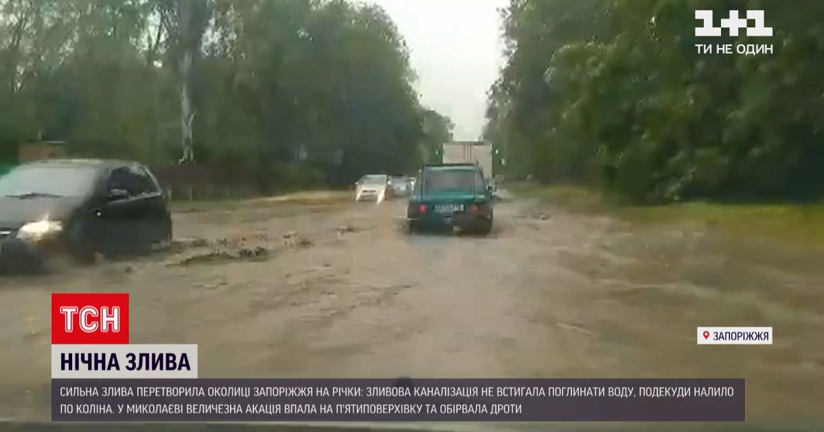 Новости Украины: в Николаеве сильный ливень повалил огромную акацию прямо на пятиэтажку