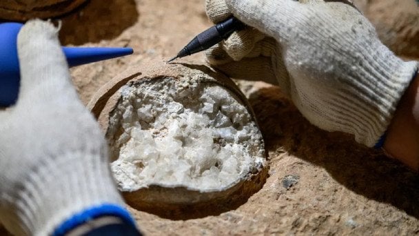 Дослідження знахідки / © ABC