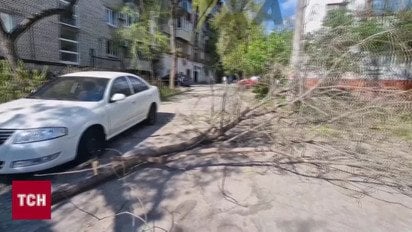 Гляньте, якої біди наробив шалений буревій! Люди гинули через дерева, а вулиці пливли!
