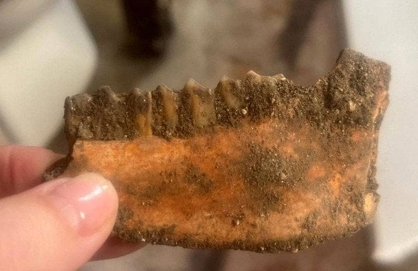 Подружжя перебудувало церкву на будинок і знайшло 83 тіла, поховані під підлогою / © dailystar.co.uk