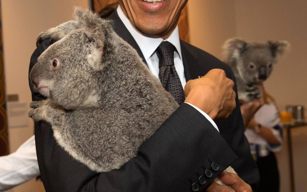 Перед самітом G20 його учасники фотографувалися з коалами. / © Reuters