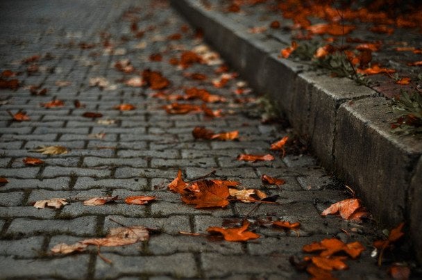 Народні прикмети 21 вересня / © pexels.com