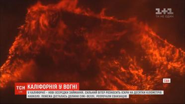 Новые очаги возгорания: в Калифорнии "дьявольский" ветер разносит искры на десятки километров