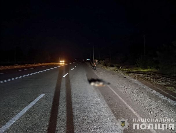 У Запоріжжі водій-втікач збив військового та залишив його помирати на узбіччі / © ГУ Нацполіції в Запорізькій області