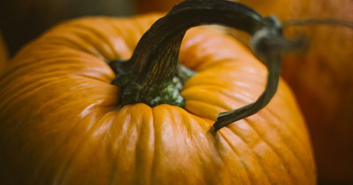 Тест: виберіть один із трьох гарбузів, і ми розкриємо вашу приховану рису характеру