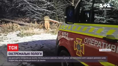 Экстремальные роды: скорая не могла приехать к роженице из-за поваленного дерева