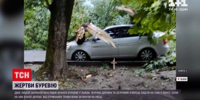 Новости Украины: во Львове поднялся сильный ветер - два человека погибли, повалены десятки деревьев