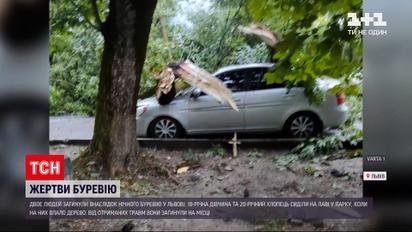 Новини України: у Львові здійнявся сильний вітер - двоє людей загинули, повалені десятки дерев