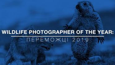 Найкращі фото дикої природи 2019: переможці конкурсу Wildlife Photographer of the Year