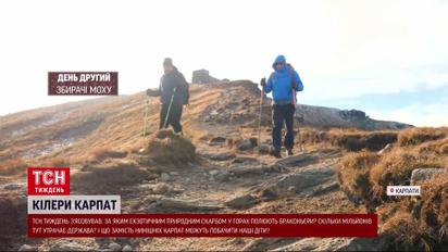 Карпаты заполонили браконьеры: какое сокровище они там ищут