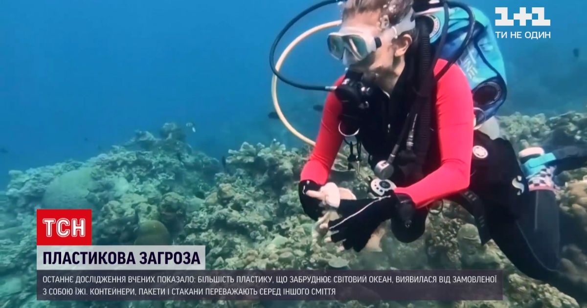 Новини світу: більшість пластику, що забруднює світовий океан - від замовленої з собою їжі