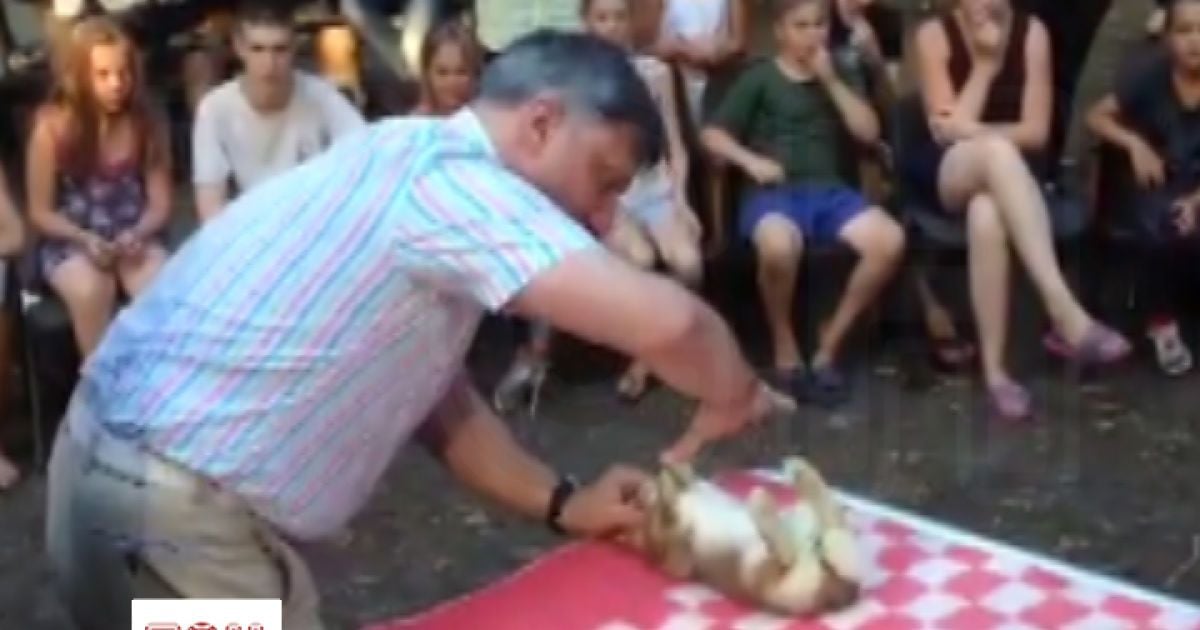 Скандальний "доктор Пі" після звільнення відпрацьовує гіпноз на тваринах