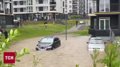 Вода стремительно спала в Прикарпатье! Но беду не отвратишь! Это будут расчищать долго