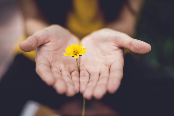 20 квітня День вдячності волонтерам / © unsplash.com