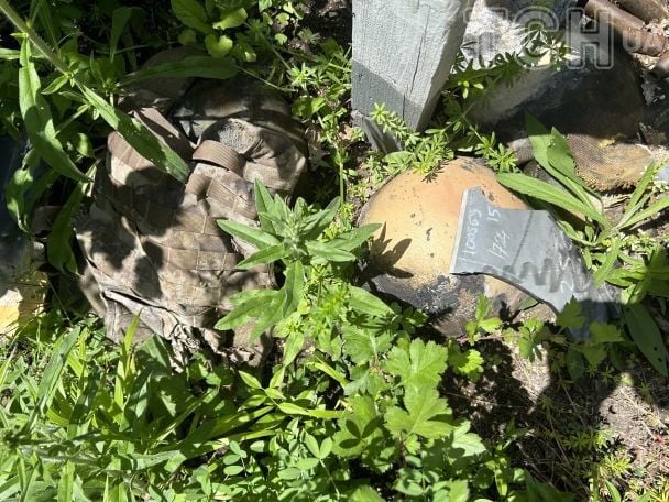 Найкращий час для пошуків, кажуть у місії, - це весна та осінь. / © ТСН