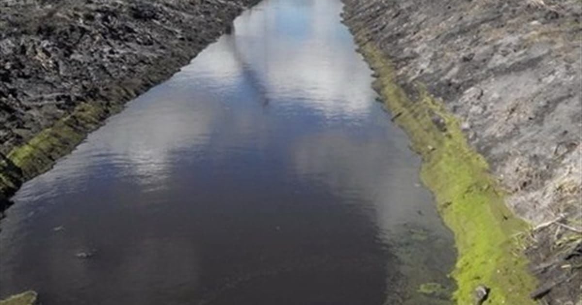 В Ровенской области нашли труп мужчины в мелиоративном канале