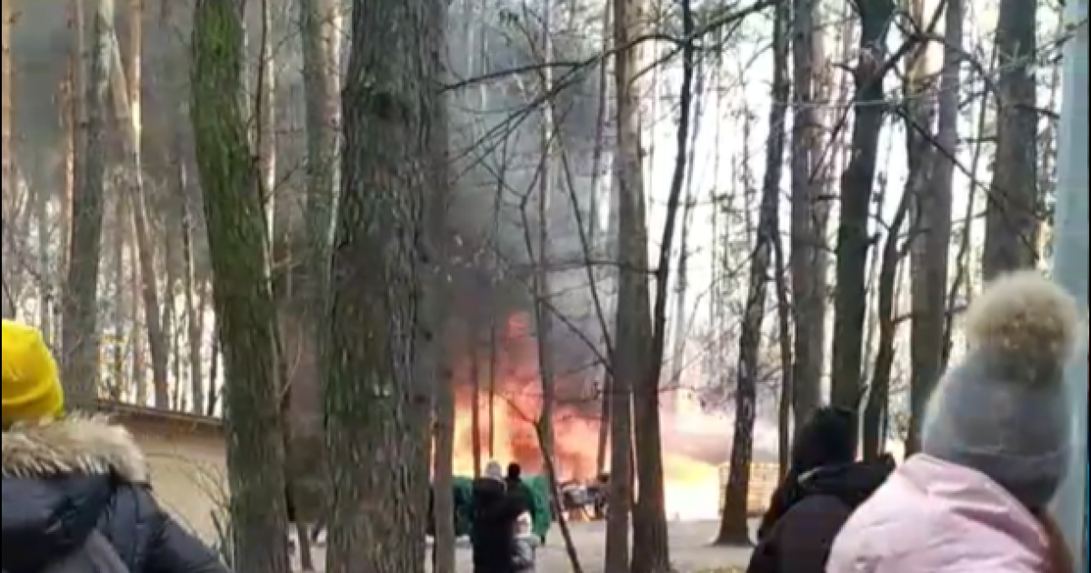 Дым виден за несколько километров: в Киеве в парке "Совки" произошел масштабный пожар (видео)