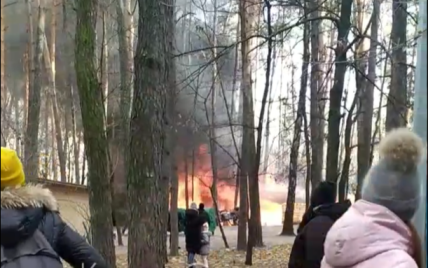 Дим видно за декілька кілометрів: у Києві в парку "Совки" сталася масштабна пожежа (відео)