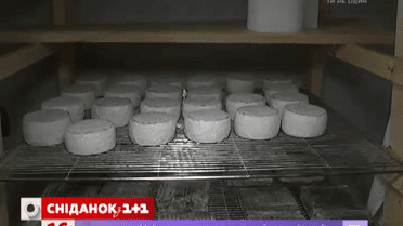 Мой путеводитель. Прикарпатье