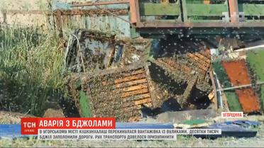 В Венгрии перевернулся грузовик с ульями: десятки тысяч пчел заполонили дорогу