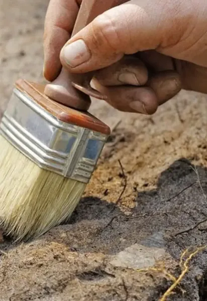 В лесах Польши исследователи нашли средневековую капсулу времени