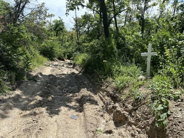Тут організували лісовий меморіал на місці загибелі військових. / © ТСН