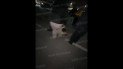 В Киеве произошла драка несовершеннолетних девушек