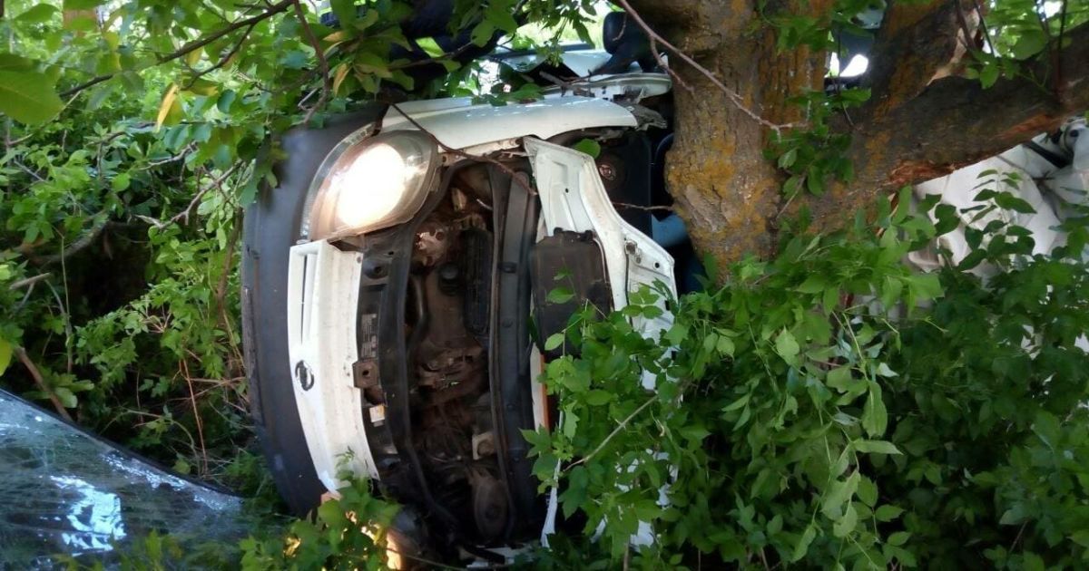 ДТП на Миколаївщині
