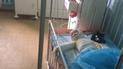 В Одесі померла 2-річна дівчинка, яку батьки обварили окропом і два тижні самі лікували