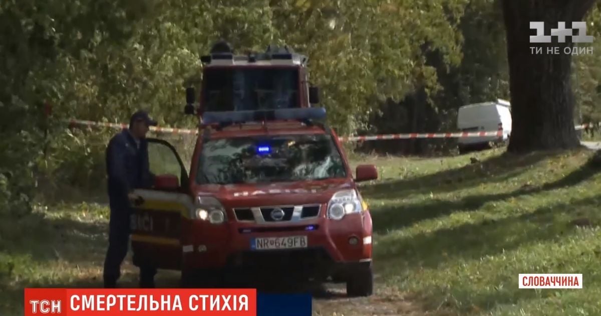 У Словаччині на хлопчика впало дерево, він загинув