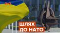 Нескінченна дорога до НАТО: чи є в України шанси вступити до альянсу
