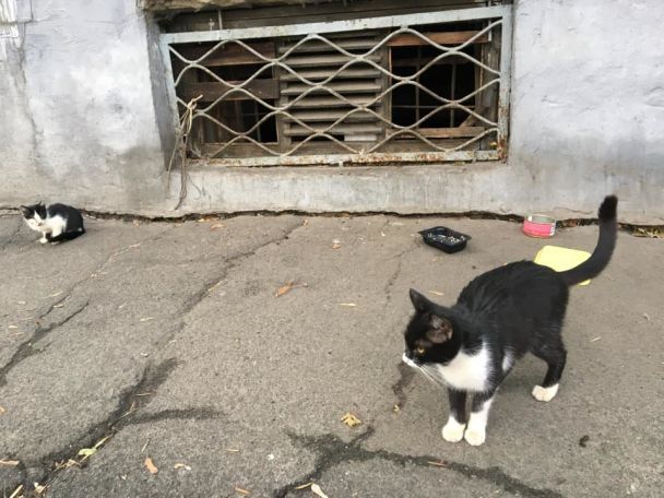 Фото: Натали Вернер, Facebook