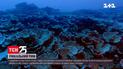 У водах Таїті виявили неторканий кораловий риф | Новини світу