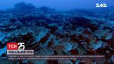 В водах Таити обнаружили нетронутый коралловый риф | Новости мира