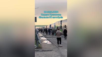На кордоні з Польщею утворилися затори