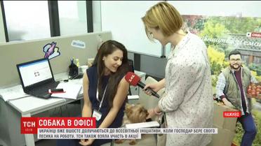 Працівники "1+1 медіа" долучились до всесвітньої акції "Візьми собаку на роботу"