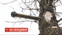 Инспекторы ОБСЕ сообщают о резком обострении оперативной обстановки на фронте