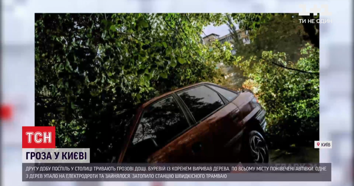 Найбільше у Києві від негоди постраждав Мінський масив: викорчувані дерева і потрощені десятки авто