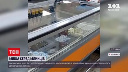 Новини Запоріжжя: покупці помітили мишу в холодильнику супермаркету