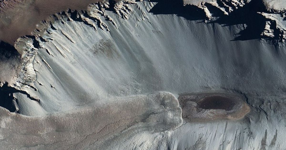 Ставок Дон-Жуан