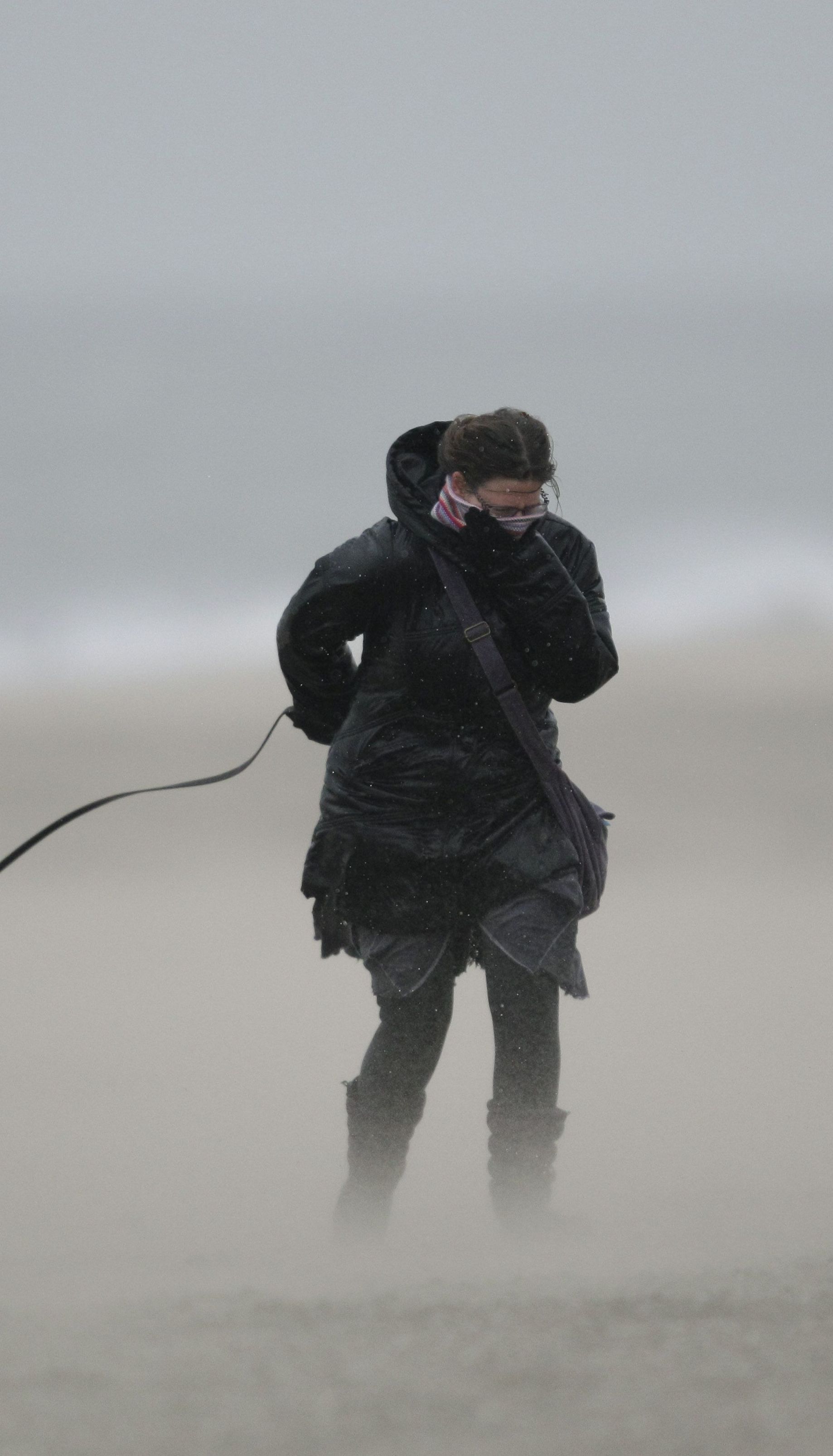 Высокий уровень опасности: синоптики предупредили украинцев о сильном ветре