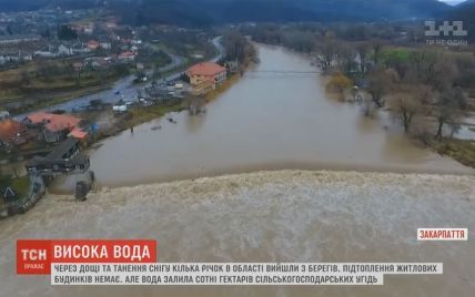 В Сети показали масштабы подтопленных дорог и полей на Закарпатье