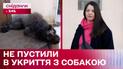Не пустили в укрытие! Имеет ли кто-то право запрещать заходить в укрытие людям с животными