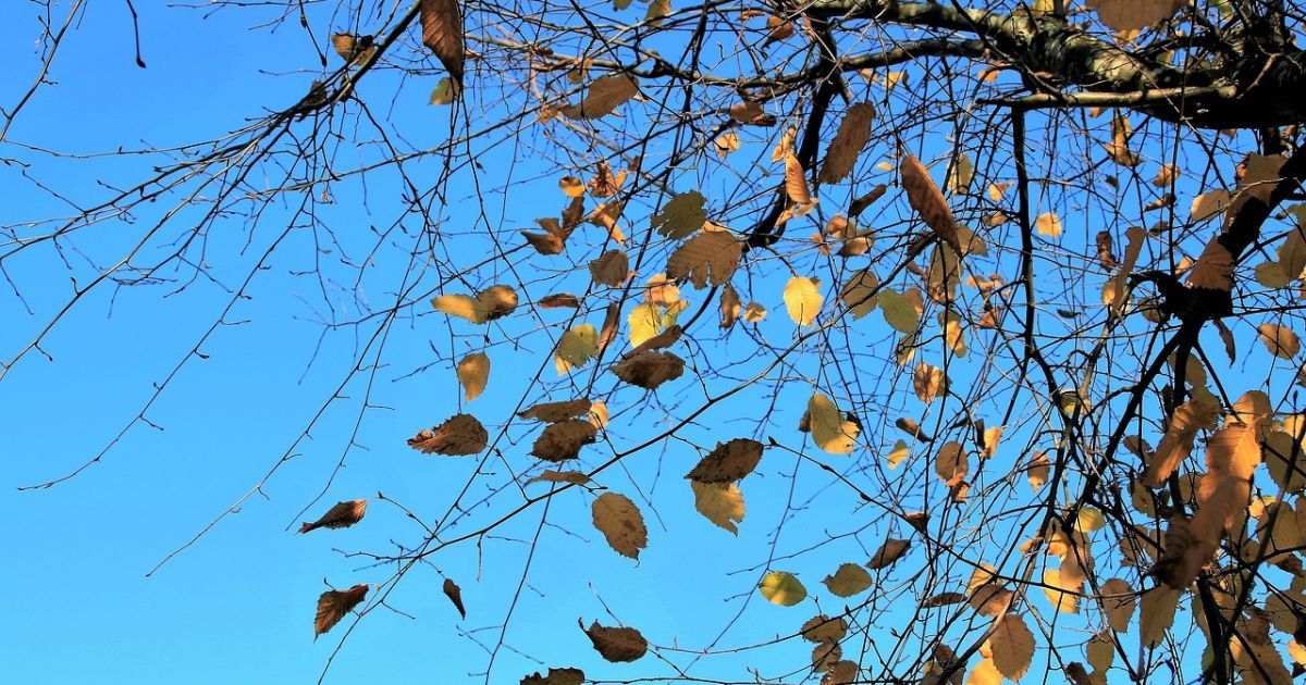 В некоторых регионах резко изменится погода