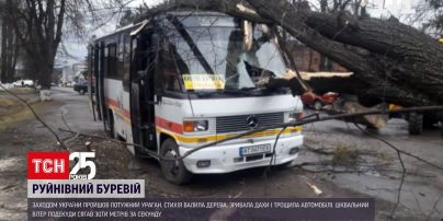 В Украине 90 населенных пунктов остаются без света из-за непогоды