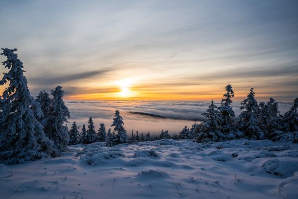 21 января сильный холод – скоро будет тепло / © Pexels