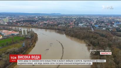 У Мережі з'явилось відео масштабної повені на Закарпатті