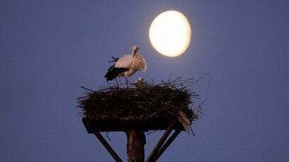 Убывающая Луна с 13 мая по 26 мая 2025 года