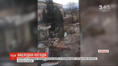 Десятки повалених дерев та зірваних дахів: у Львівській області другу добу лютує негода